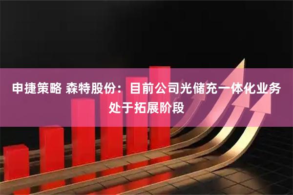 申捷策略 森特股份：目前公司光储充一体化业务处于拓展阶段