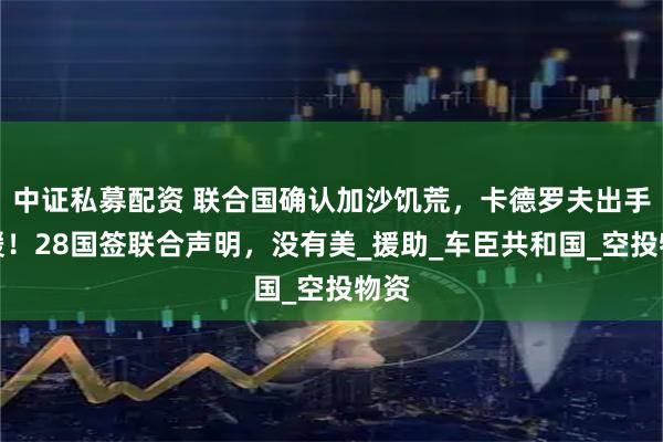 中证私募配资 联合国确认加沙饥荒，卡德罗夫出手救援！28国签联合声明，没有美_援助_车臣共和国_空投物资